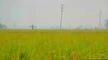 Cloudy.pk - Heer Express 2025 Hindi